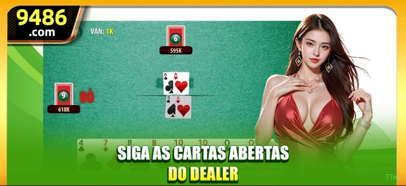 Guias de instalação da 77ee